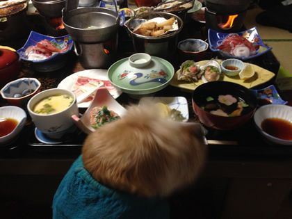 那須塩原に行ってきました！愛犬と紅葉＆温泉旅行～お部屋編～