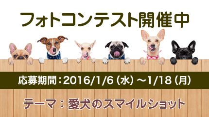 愛犬の写真を投稿してプレゼントをゲットしちゃおう！