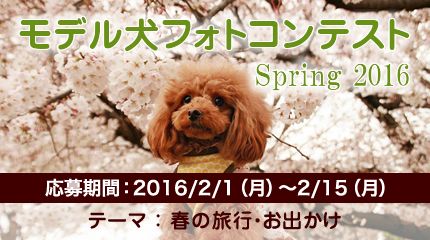 愛犬の写真を投稿してプレゼントをゲットしちゃおう！