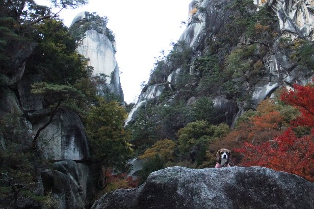 山梨の観光名所昇仙峡を愛犬とめぐってきました！＜山梨県・甲府市＞