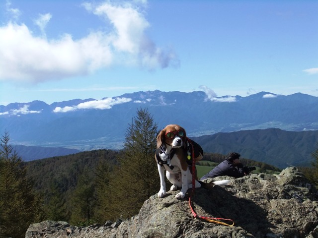 愛犬と一緒に達成感を味わおう！秋におすすめ入笠山登山＜長野県諏訪郡＞