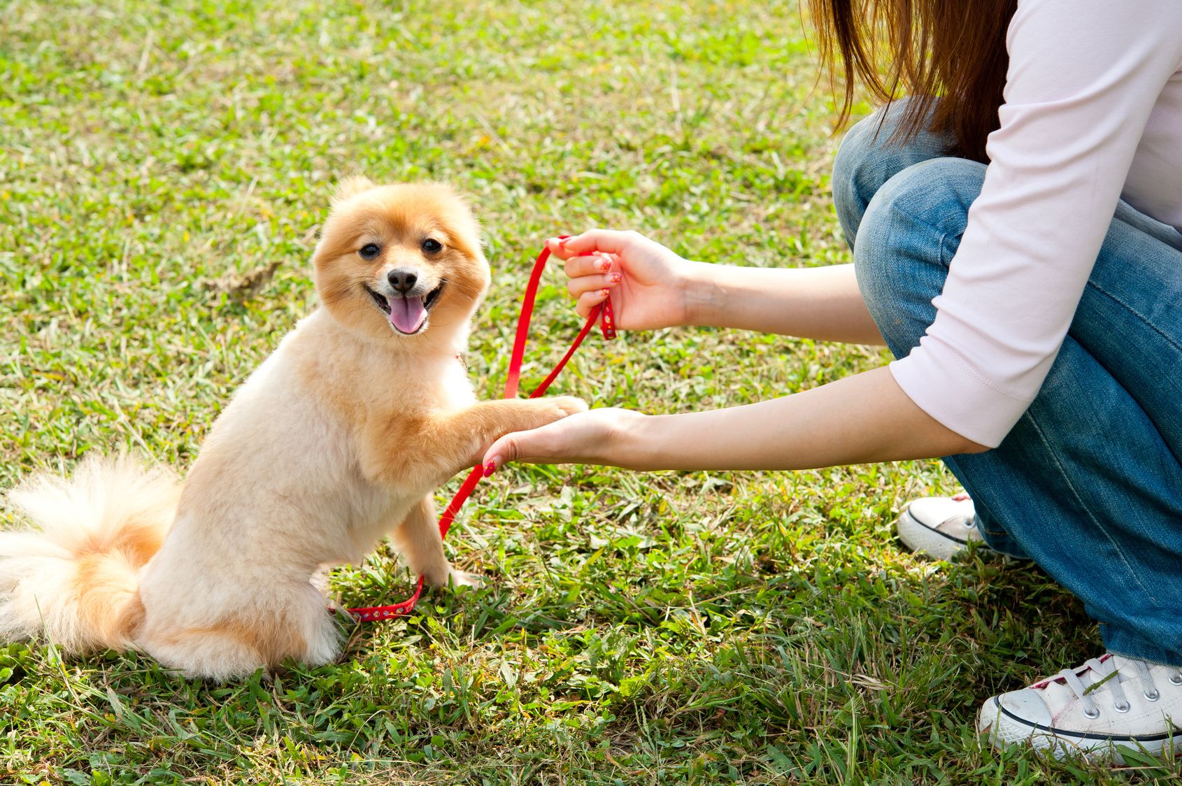 attractive asian woman with dog in the park