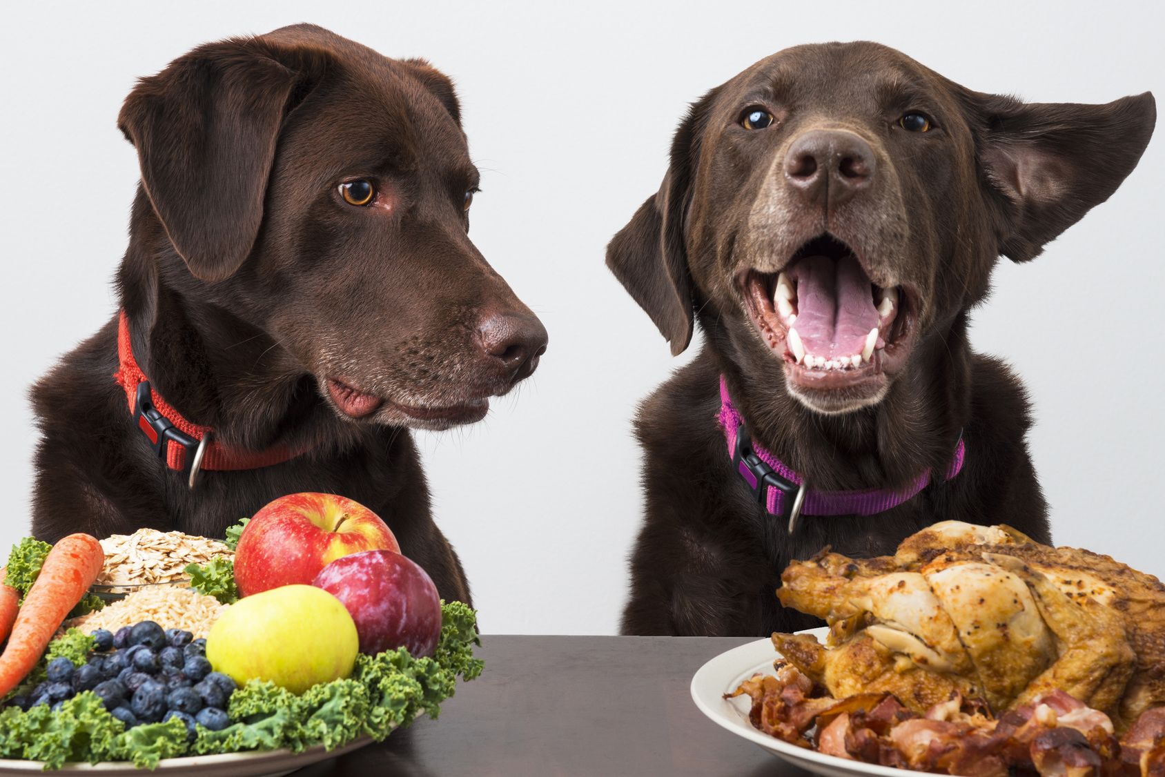 ちょっと待って！ その食材大丈夫!? 愛犬にNGの食べ物は？