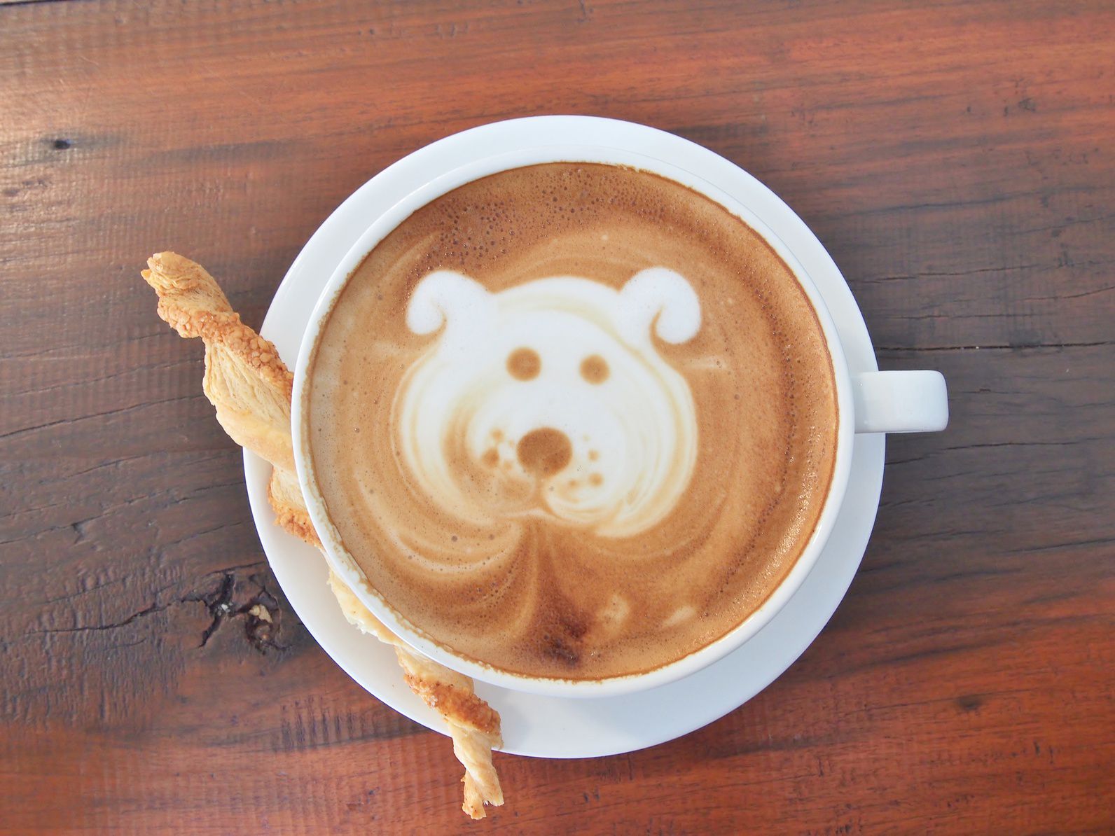 愛犬と楽しむドッグカフェで気をつけたいマナー