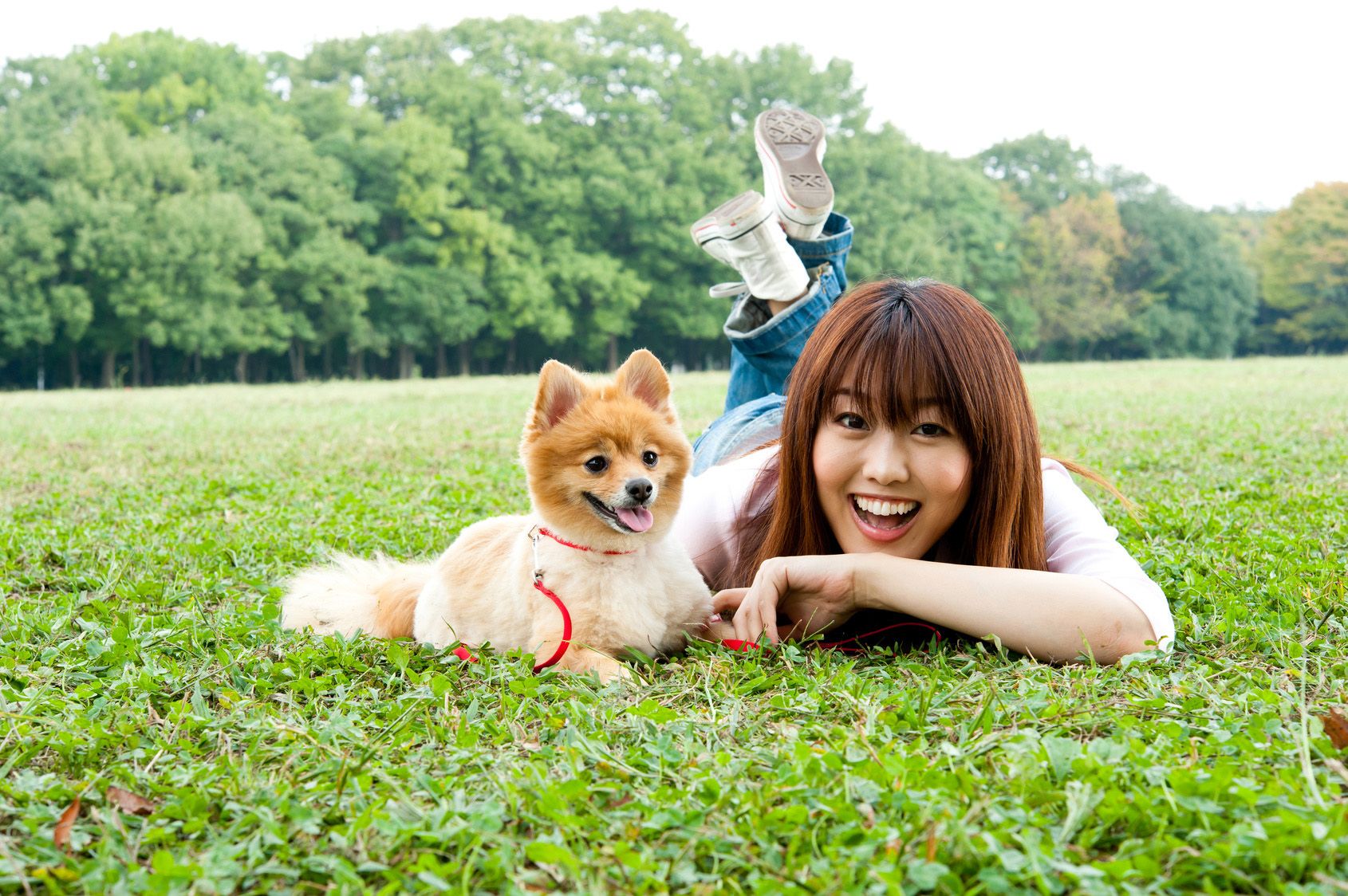 attractive asian woman with dog in the park