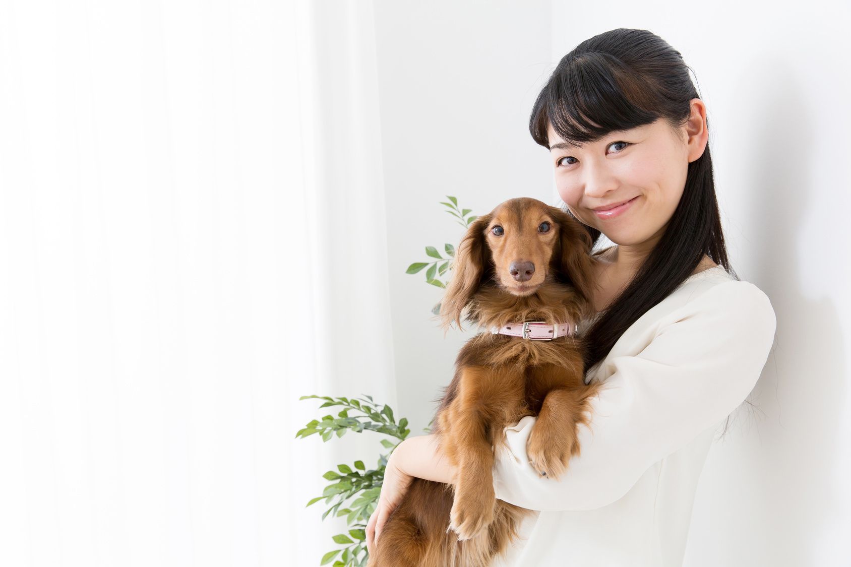 young asian woman and dog lifestyle image