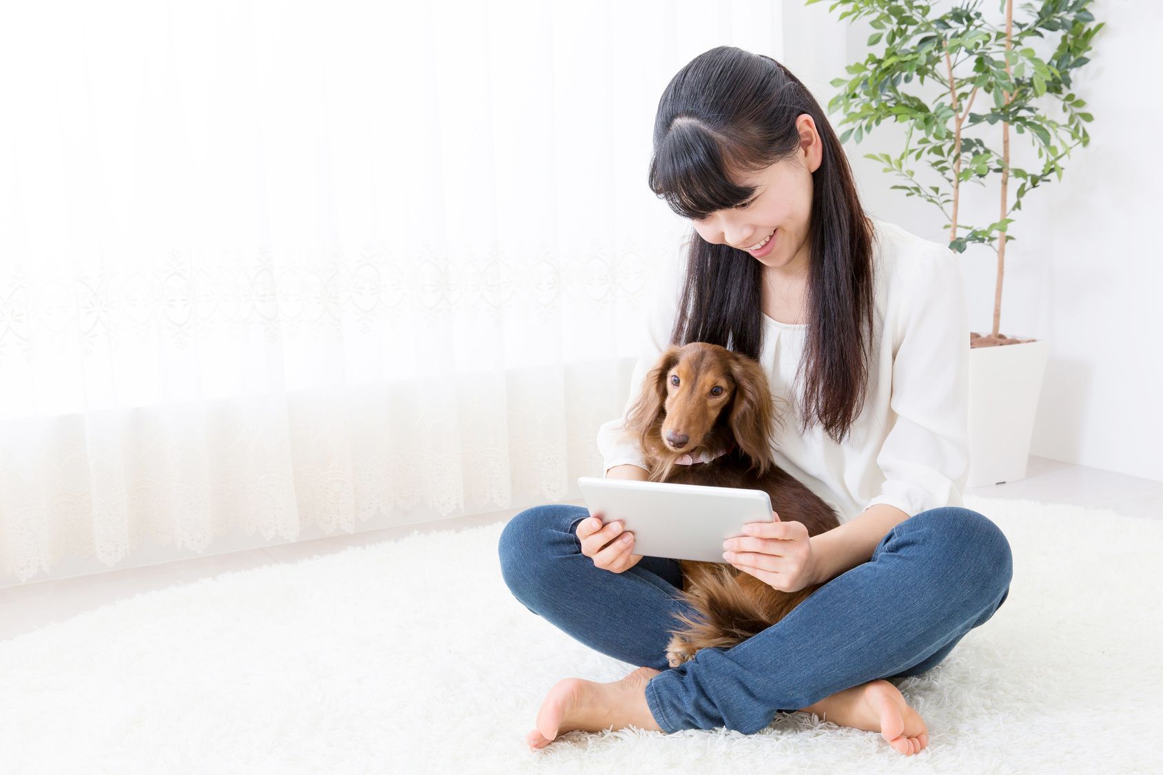 young asian woman and dog lifestyle image