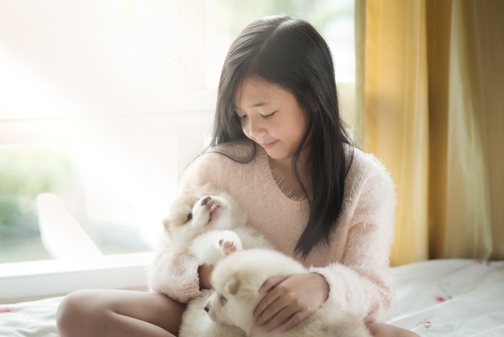 Little asian playing with siberian husky puppies on the bed,vintage filter
