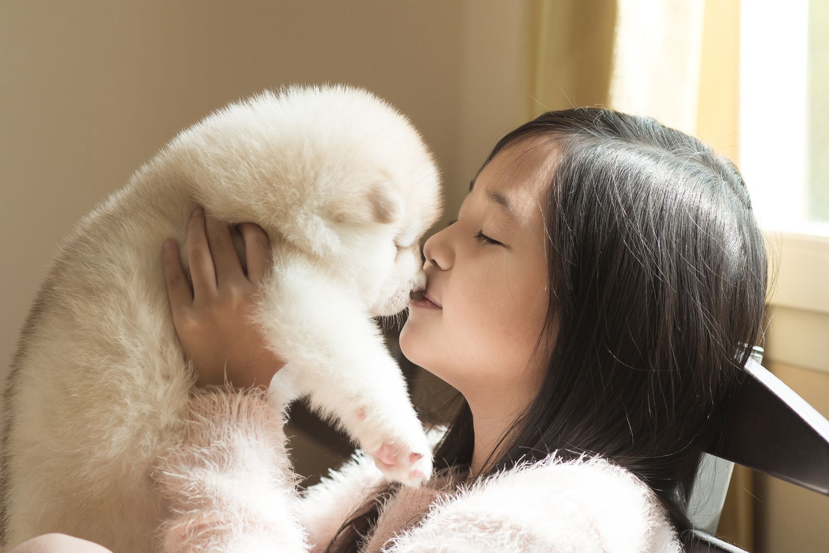 Little asian girl kissing a siberian husky puppy at the window,vintage filter