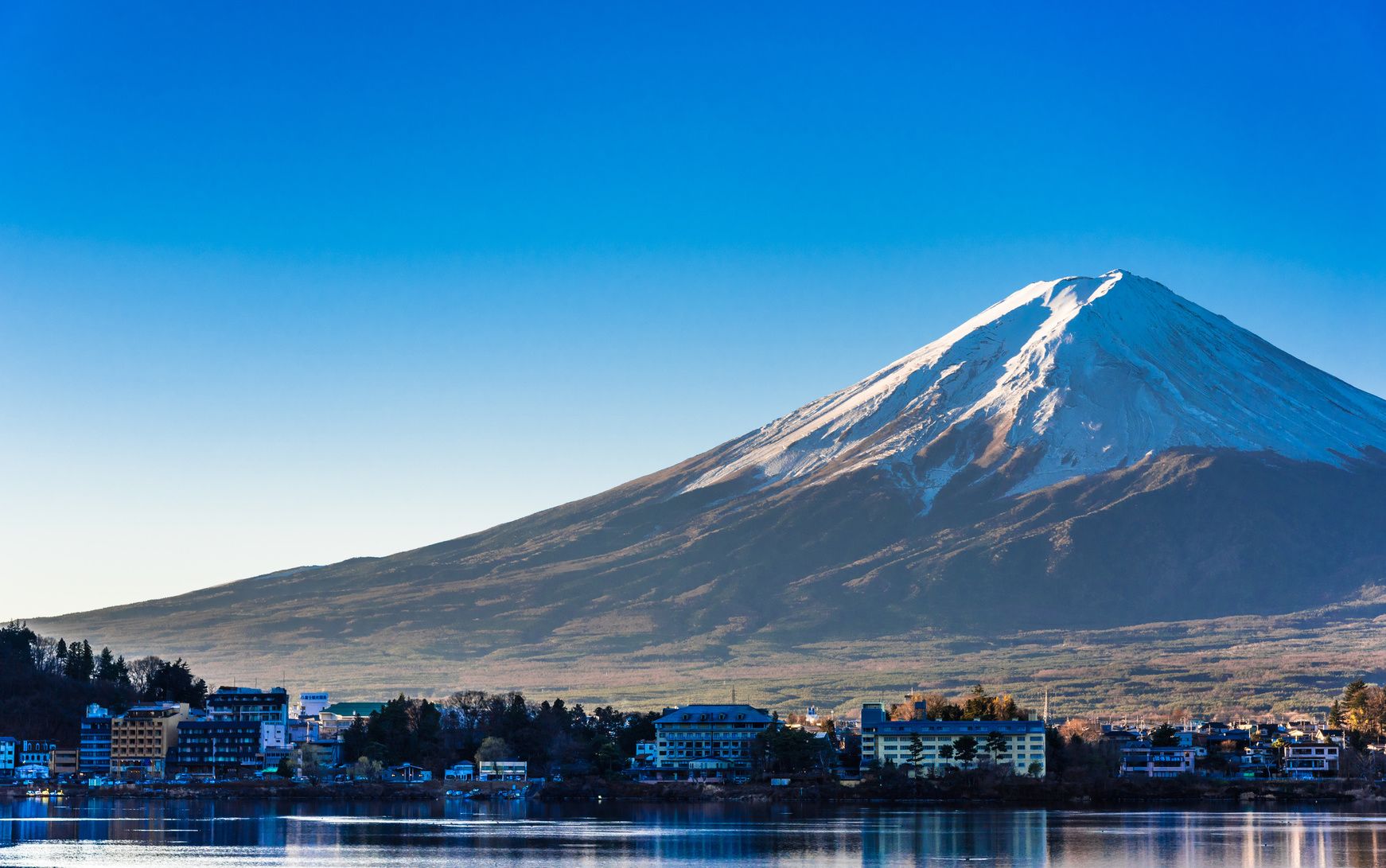 富士山と湖を望める絶景！河口湖エリアで愛犬と泊まれる宿5選