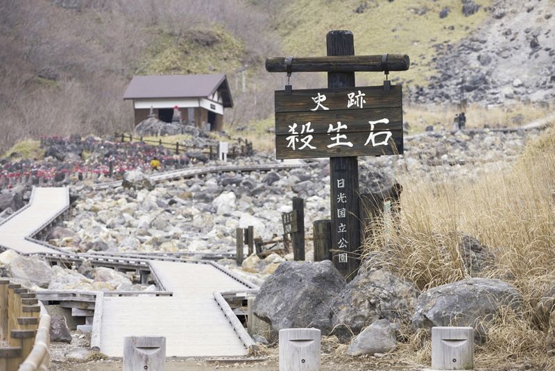 愛犬と那須旅行！ワンちゃんといっしょに泊まれる宿5選