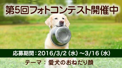 愛犬の写真を投稿してプレゼントをゲットしちゃおう！