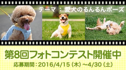 愛犬の写真を投稿してプレゼントをゲットしちゃおう！