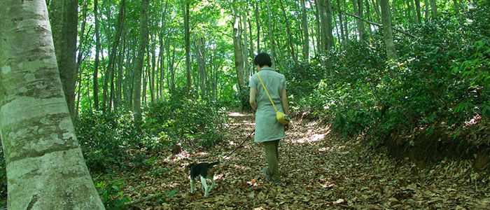 長野でワンちゃんとお散歩やピクニックに行くならどこがいい？おすすめスポット5選