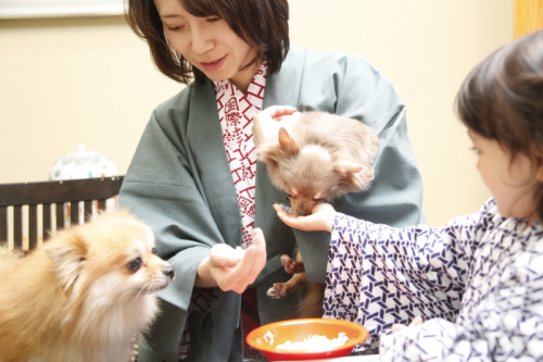 日光・鬼怒川で、ワンちゃんとお部屋ご飯が食べられる♪ゆったり気分の宿5選