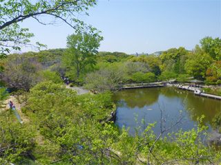 わんちゃんと一緒に公園で楽しんじゃおう♪関西エリアの公園特集