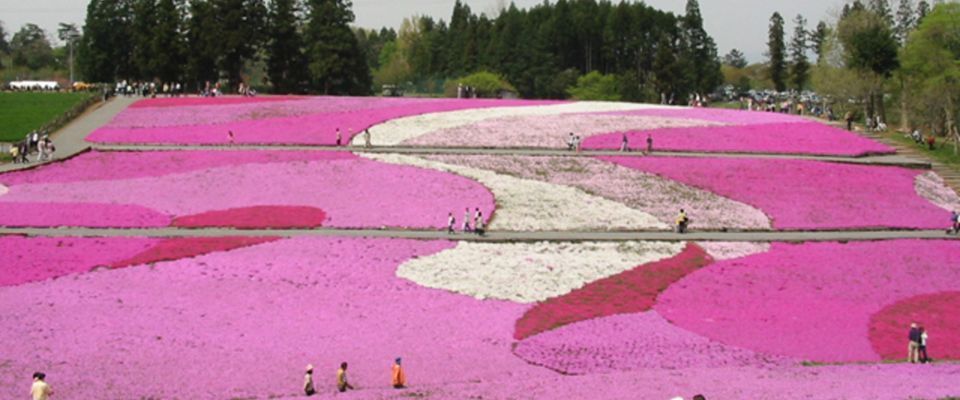 首都圏自慢の絶景スポットで心に保養を！ワンちゃんと一緒に過ごすひととき