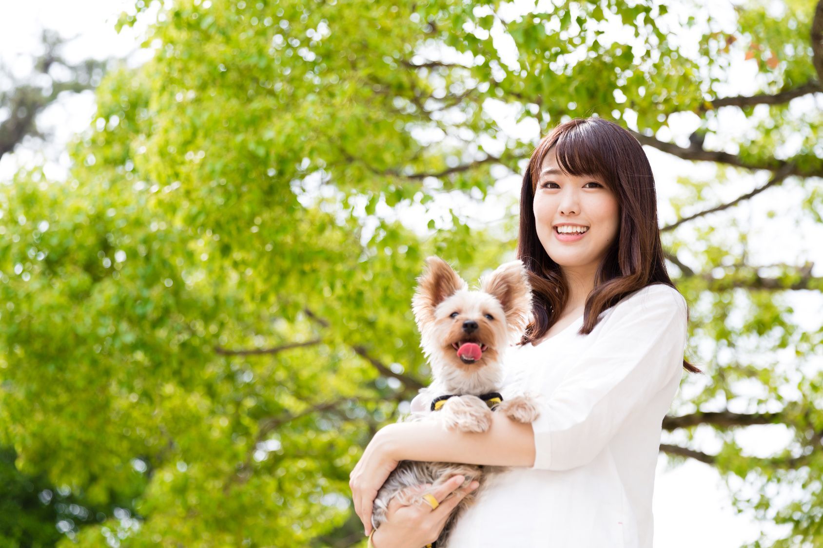 portrait of young asian woman with dog in the park