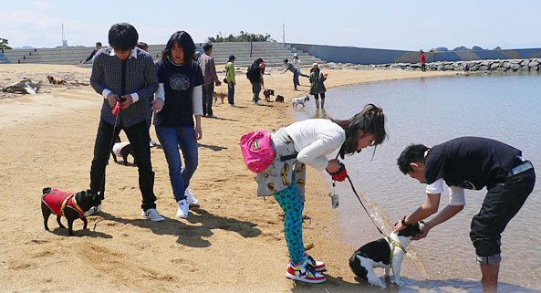 愛犬といっしょに行けるツアーが満載！おすすめツアー会社はここだ！