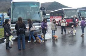 bus_tour3