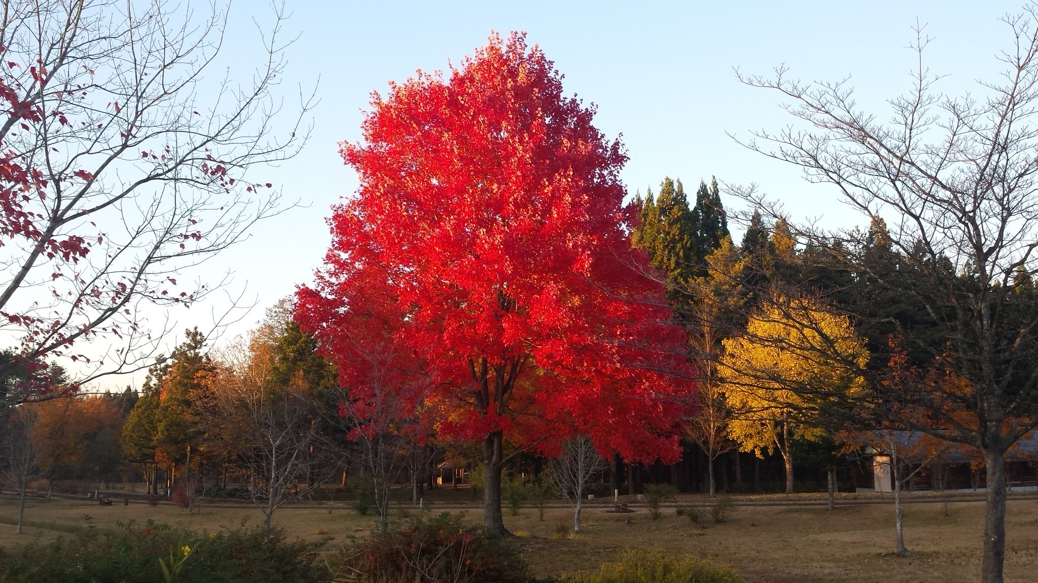 hokuonomori_park_2