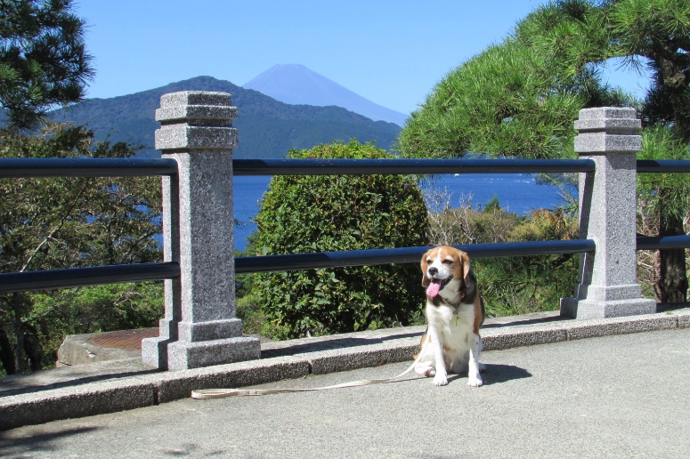 芦ノ湖周辺で愛犬と一緒に歴史探訪＜神奈川県箱根町＞