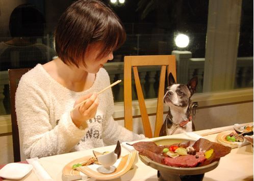 食事も寝るのも一緒！愛犬とずっと一緒に過ごせる宿＜房総＞