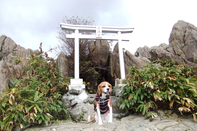 ロープウェイに乗って谷川岳を登ってみよう♪＜群馬県利根郡＞