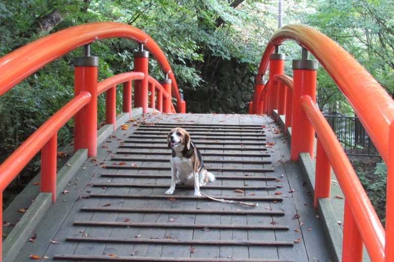 関東屈指のパワースポット「榛名神社」をめぐる榛名山周辺観光＜群馬県高崎市＞