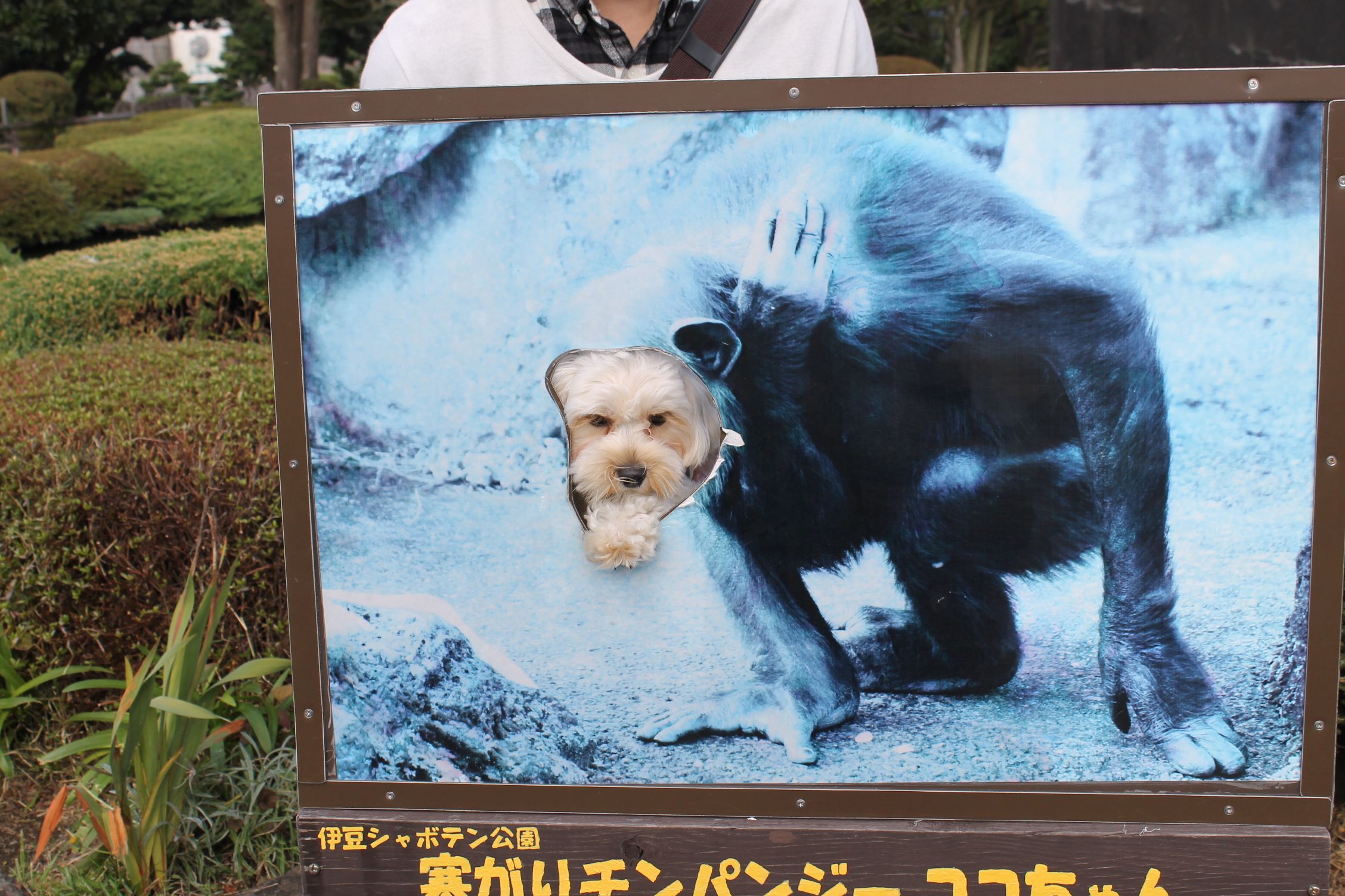 愛犬と電車で行ける「伊豆高原」一泊二日旅行プラン