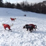 教室の仲間を誘って雪山登山＆ラッセル♪