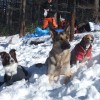 教室のみなさんを誘って再び雪山ラッセル♪