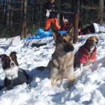 教室のみなさんを誘って再び雪山ラッセル♪