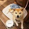 愛犬と一緒にあったかい場所でスイーツが食べられるお店5選＜兵庫県 伊丹・尼崎編＞