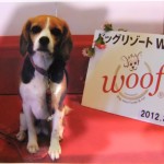 冬は貸し切り状態!? 25m温水プールとドッグランがあるWoof＜山梨県・山中湖村＞