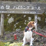 初心者におすすめ！わんちゃんと一緒に丹沢登山：岳の台コース＜神奈川秦野市＞