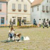 まるで愛犬と世界旅行？ 関東周辺で愛犬と一緒に冒険が出来るスポット5選！