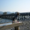 愛犬と京都の渡月橋と嵯峨野を観光 ゴールデンウィーク4泊5日 関西旅行 Part1