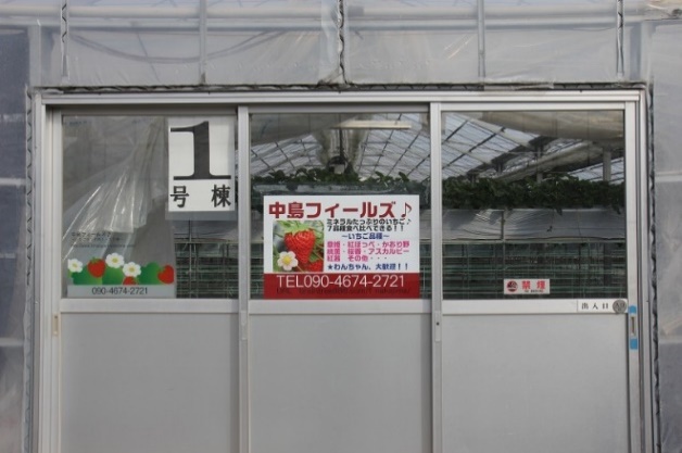 image5