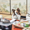 愛犬と特別な日こそお部屋食！関東近辺で部屋食プランがあるペット宿10選！