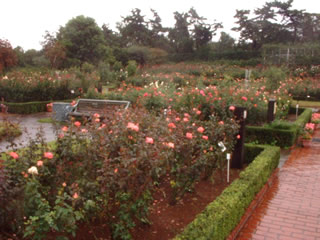 image11