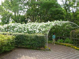image22