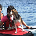 愛犬と一緒に本栖湖 浩庵キャンプ場でカヤック体験♪