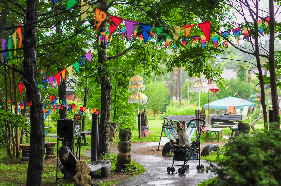 夏や雨天でも雰囲気抜群 アジアンオールドバザールはワンちゃんokの無料テーマパークだった 栃木県那須高原 愛犬との旅行ならイヌトミィ