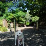 ロングお散歩デビューでも大丈夫！日常生活や旅の疲れの癒しにピッタリの「比治山公園」＜広島市＞