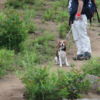 愛犬と一緒に野辺山の飯盛山登山と周辺散策＜長野県・南佐久郡＞ その１