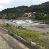 静岡市清水区を流れる興津川を満喫！ワンちゃんと行く長～い田舎の遊歩道