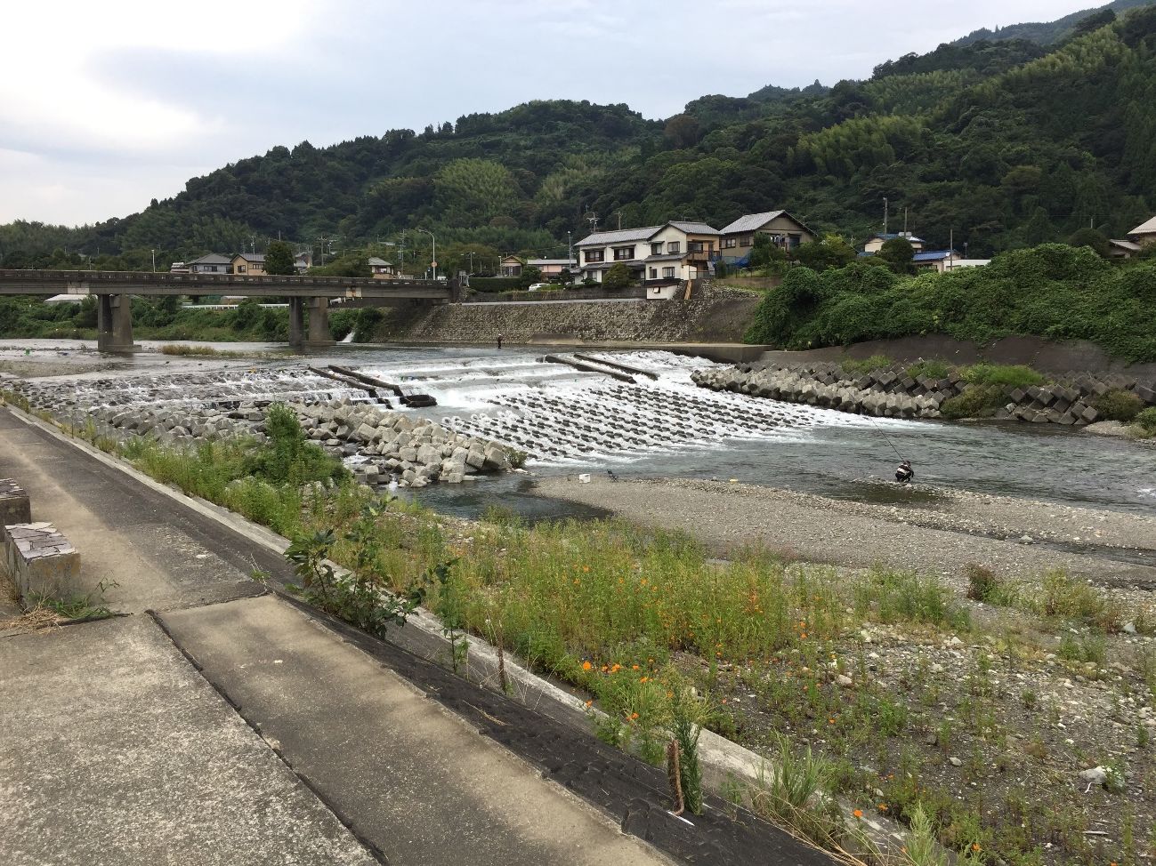 静岡市清水区を流れる興津川を満喫 ワンちゃんと行く長 い田舎の遊歩道 愛犬との旅行ならイヌトミィ