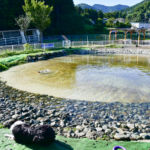 神奈川県松田町で「寄七つ星ドッグラン」グランドオープン！天然水ドッグプールで遊んできたよ♪