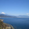 海と山に恵まれた静岡県清水でワンちゃんと一緒にお散歩を楽しめるおすすめスポット４選！